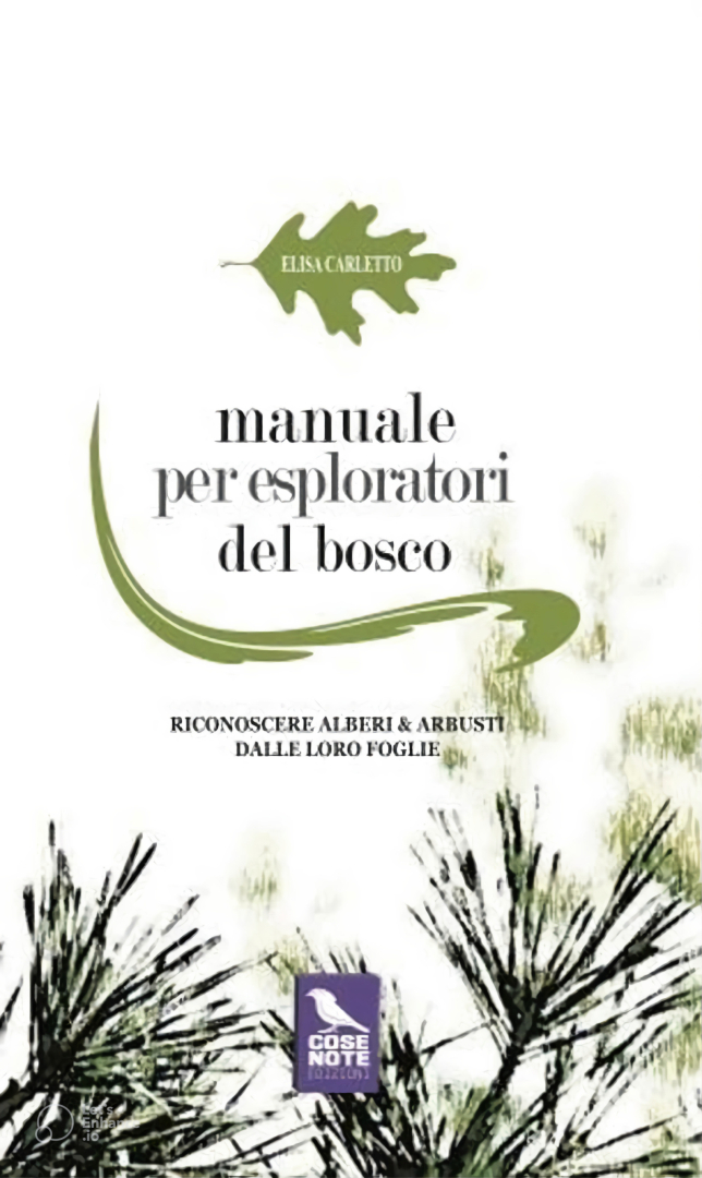 Recensione “Manuale per esploratori del bosco” di Elisa Carletto