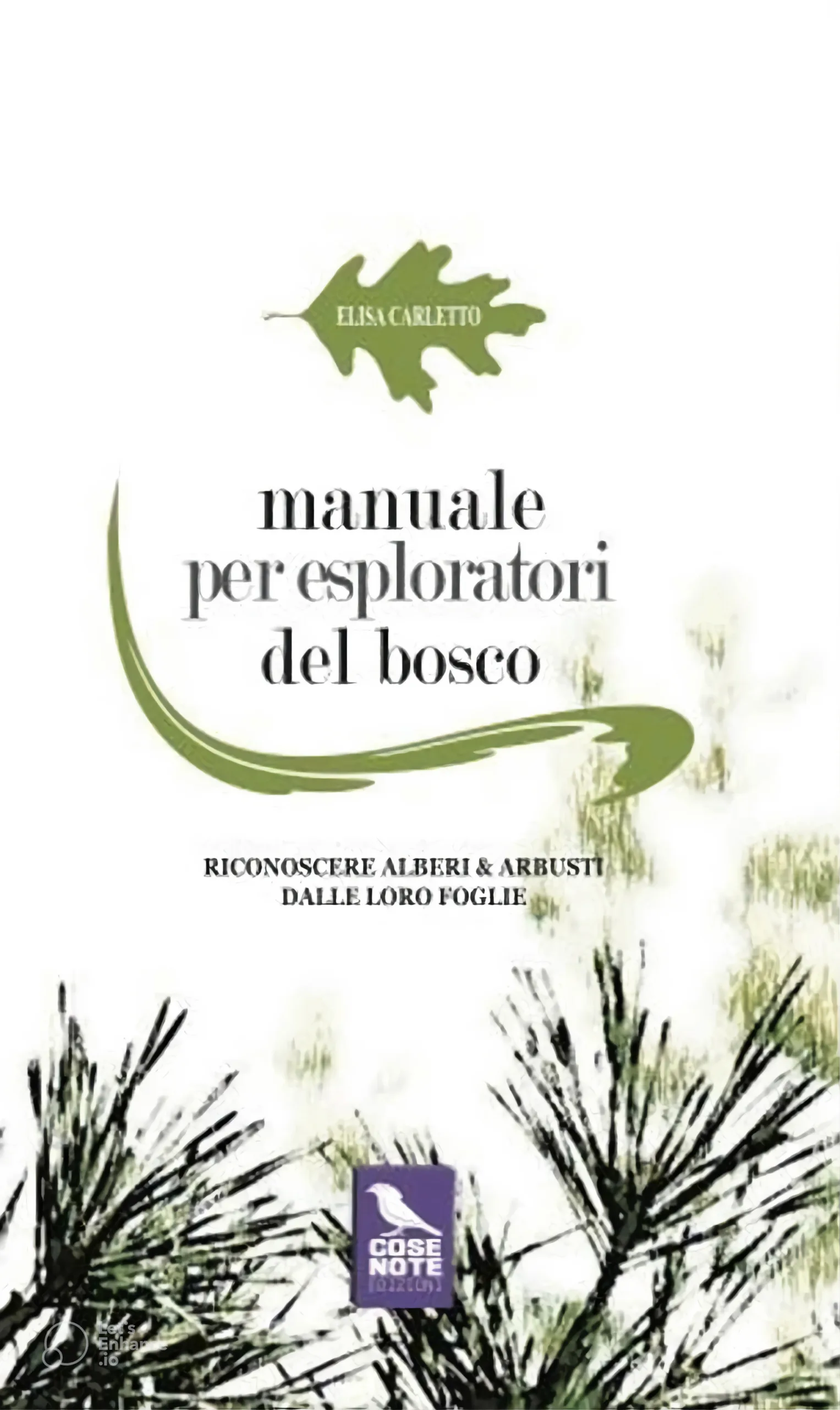 Copertina del libro Manuale per esploratori del bosco