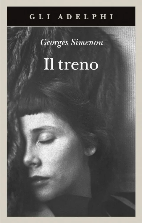 Copertina del libro Il treno