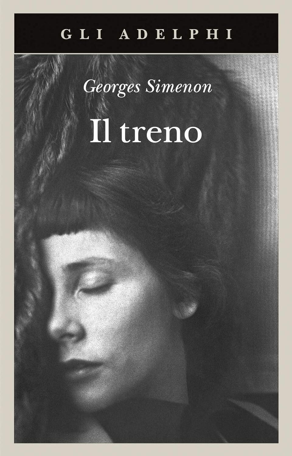 Copertina del libro Il treno