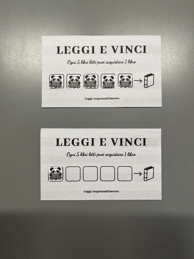 Esempio di schede Leggi e Vinci usate
